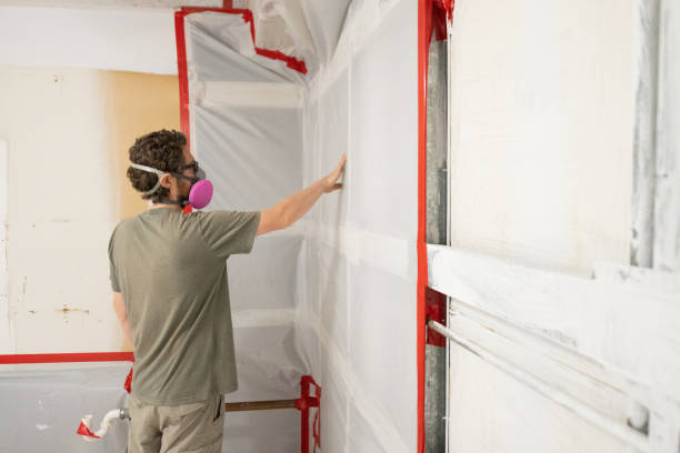 Best Forensic Mold Investigation  in Rogers, TX
