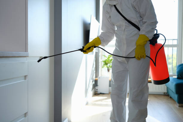 Best Asbestos and Lead Testing During Mold Inspection  in Rogers, TX