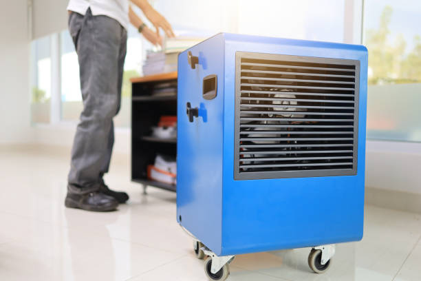 Best Mold Damage Restoration  in Rogers, TX